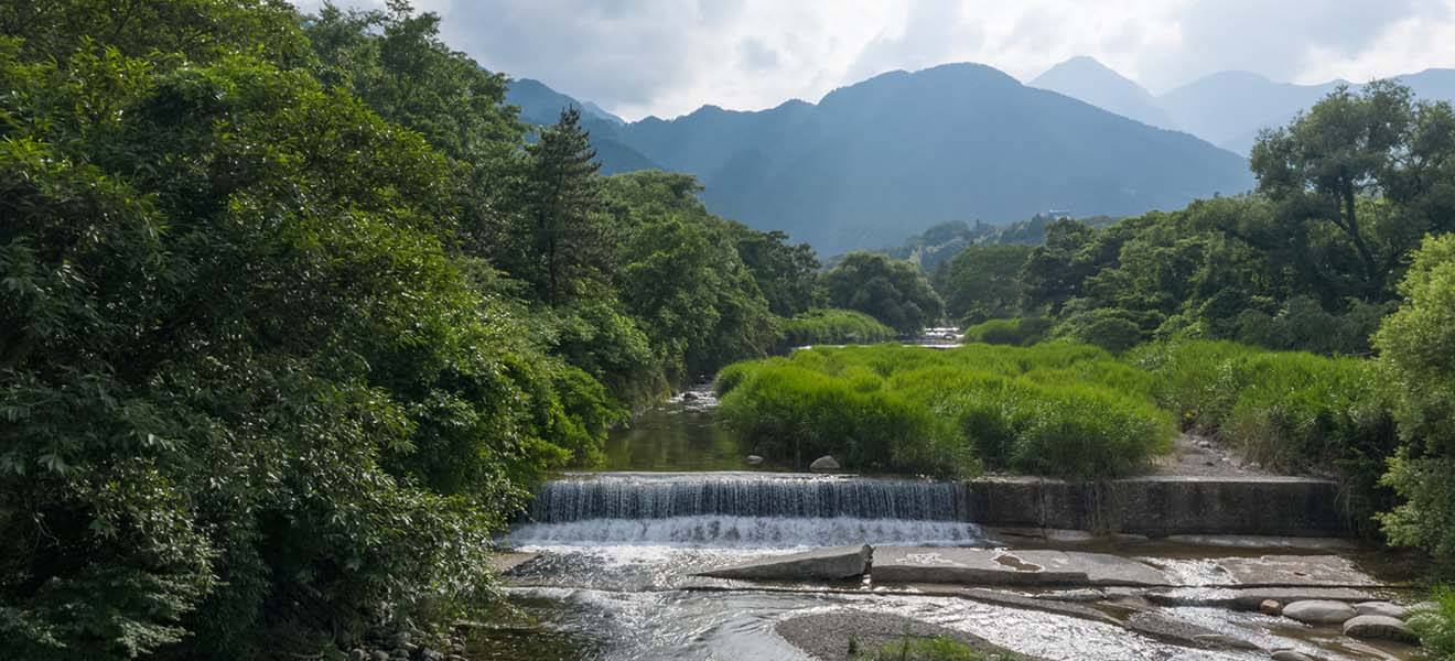 湯の山周辺の画像